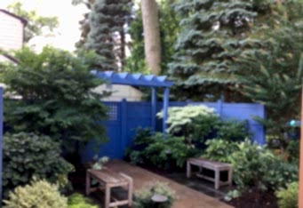A pop of color with a blue pergola and fence in this Landscaping Design in Westfield NJ