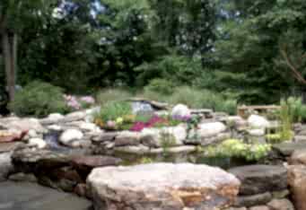 A natural water feature with plantings creates a beautiful landscape design