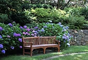 Bench in a backyard landscape in New Jersey
