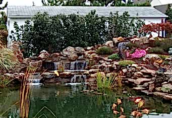 Plantings hide a garage and provide a backdrop for a waterfall and pond in this NJ landscape