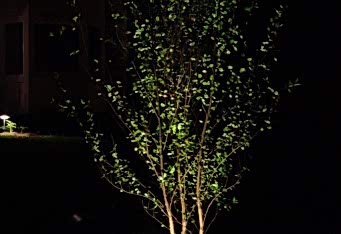 Landscape Lighting in Westfield NJ